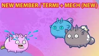 MECH + DUSK | NEW MEMBER | BUILDING NEW TEAM