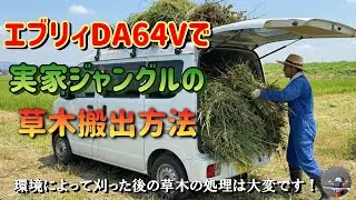 実家の除草やってみた