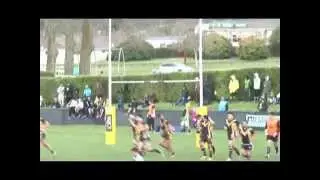 2015 BOP/Coastline Rugby League Premier Grade Grand Final: Pacific Sharks v Taupo Phoenix