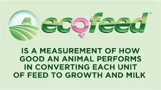 EcoFeed&trade; by STgenetics&reg;
