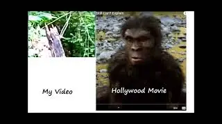 Similar Faces