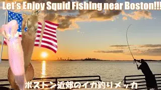 Fishing Squid at a Popular Fishing Spot, Nut Island