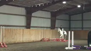 Our Angel Horses Benefit Clinic  May of 2025