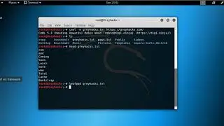 CeWL: Custom Wordlist Generator Taking URL as Parameter|Greyhacks|