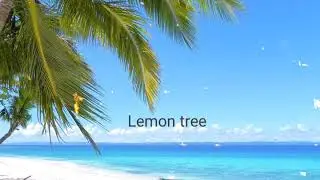 Lemon tree cover by Will Jay The Voice of China season 4 full audio blind audition