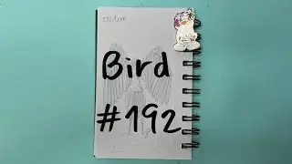 Draw 1,000 Birds With Me Roseate Spoonbill 2 of 10