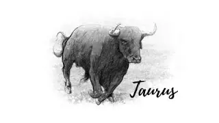 Taurus Weekly Reading - Burn Out!