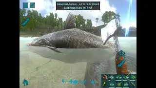 How to get raw prime fish meat in Game ARK🐟