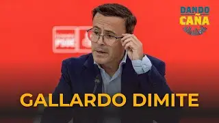 Gallardo dimite