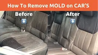 Mold Removal | Easiest And Cheapest Method | interior Leather Seat cleaning | hisham fonographer