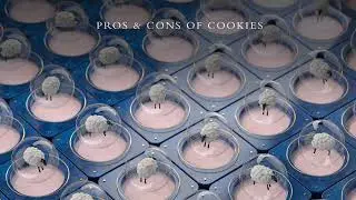 Cookies in Web Communications