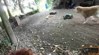 Hpi Apache C1 Flux Off-Road Versus Dog / Stampede 4x4 Rc Bi7hazard