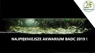 225L akwarium biotopowe. Polska -  Meandry leśnego potoku, dopływu rzeki Chodelki koło Bełżyc