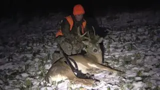 Best 3 Ways To Hunt Late Season Food Plots