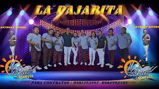 LA PAJARITA D.R.A. -ORQUESTA MAR BRAVO, &Eacute;XITO 2023