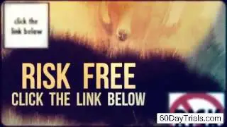 FXI Predictor free download