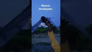 DIY Electric Ornithopter #MechanicalBird #RobotBird #RCBird #BirdVsRobot #FlyingRobot