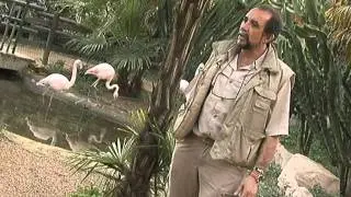 El Lince Boreal, zoológico de Córdoba