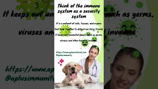 Your pet's immune system explained #immunity #dogs #cats #plantbased #petsupplement #ecofriendly