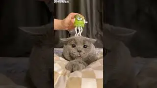 #chinatiktok #chinaonline #cute