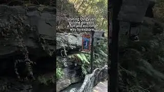 Guangzhou/foshan/shenzhen private tour guide translator and sourcing agent#guangzhoutourguide #china