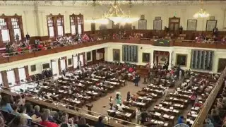 Senate bill banning transgender healthcare for children back in committee | FOX 7 Austin