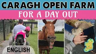 KILDARE: Caragh Farm - For a day out