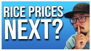 Should you stock up on Rice?? (food shortages 2022)