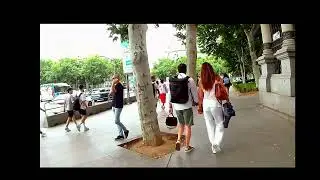 Parque del Buen Retiro De Madrid  1-3