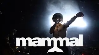 Mammal - Live at The Metro Theatre Sydney, show recap.