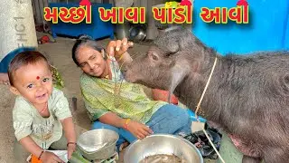 મંગુ આજ ટીટમ ખાવા આવી 🐃🦞 gam ma gaya 🚜 dhanji ni moj
