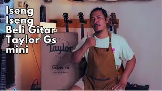 Taylor Gs Mini Mahogany - Filosofi gitar