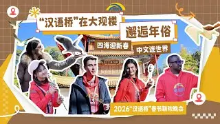 汉语桥在大观楼邂逅年俗