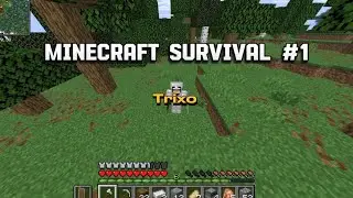 Minecraft survival #1 (Een lekker begin!)