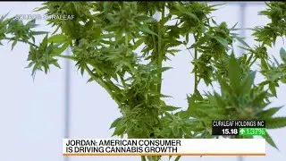 Americans Want More Cannabis, Says Curaleaf Chief