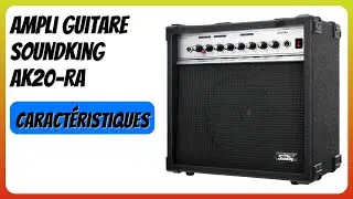 AVIS (2025) : Ampli Guitare Soundking AK20-RA. D&Eacute;TAILS ESSENTIELS