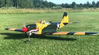 BlackHorse P-39 Aircobra RC model