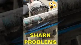 Shark Vertex после 8 месяцев использования. #акула #пылесос