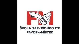 GALAVEČER TAEKWONDO - CAMERA 2