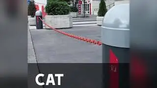 CAME - CAT  Automatic Chain Barrier System, Let us be better human beings, live smarter lives