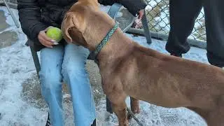 CACC - Glynn (A285180) - Jan 23 2025