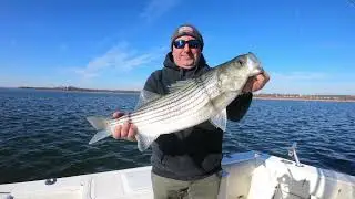 Gray Fishtag Research Striped Bass, Raritan Reach, Felipe Benedit 12-14-21