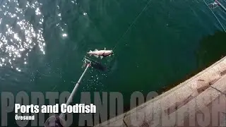 Ports and Codfish - Torsk i Öresund