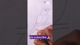 how to draw parrot by tricks #drawing #shorts #viral