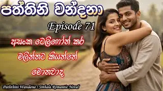 ❤️ Paththini Wandana 71 &ndash; පත්තිනි වන්දනා | Sinhala Novel Love Story |  @VishNovels ❤️