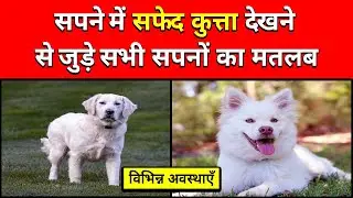 Sapne me Safed Kutta Dekhna | Seeing White Dog in Dream | Safed Kutte ka Sapna dekhna