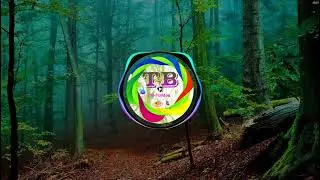 Tera Ghata - [Dj RiixzY Remix]_ 2022 🇻🇺