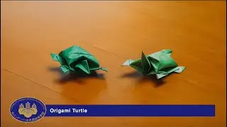 Origami - Turtle