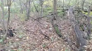 PA NY border marker