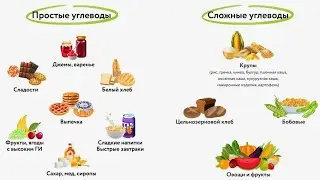 ЗАЧЕМ хищникам углеводы? Овощефрукты и зерновые - нужны?